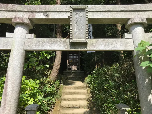本堂奥