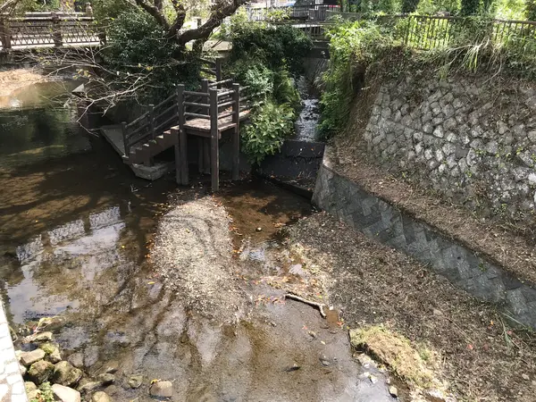 川に降りられます。