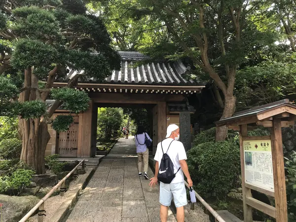 いよいよ報国寺♪