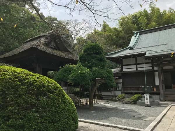 良く手入れされています。
