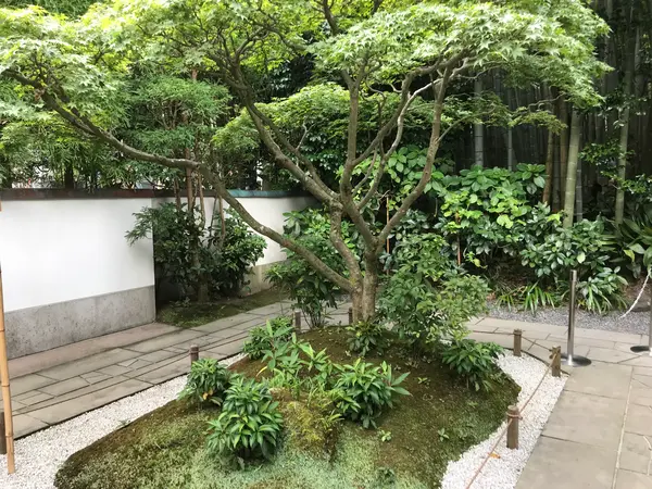 いよいよのエリア