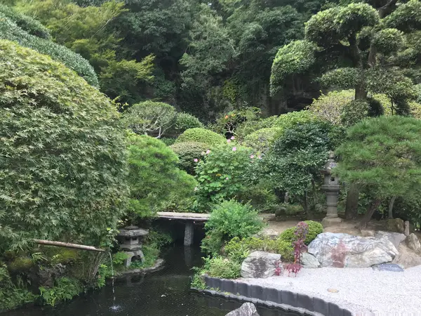 その間にバシバシ撮ってます。