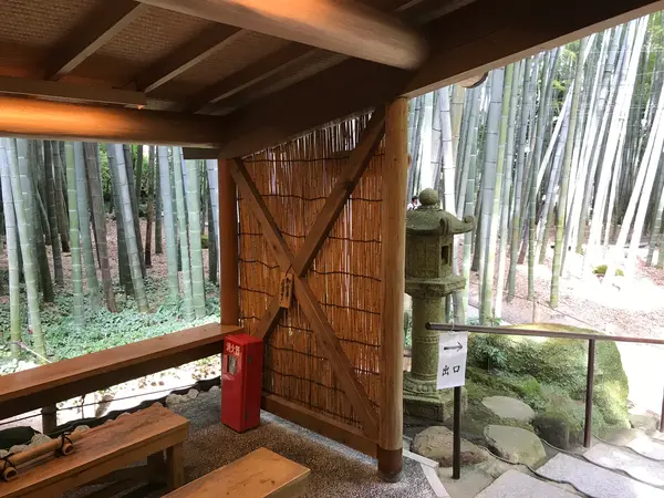 勿論、お抹茶♪