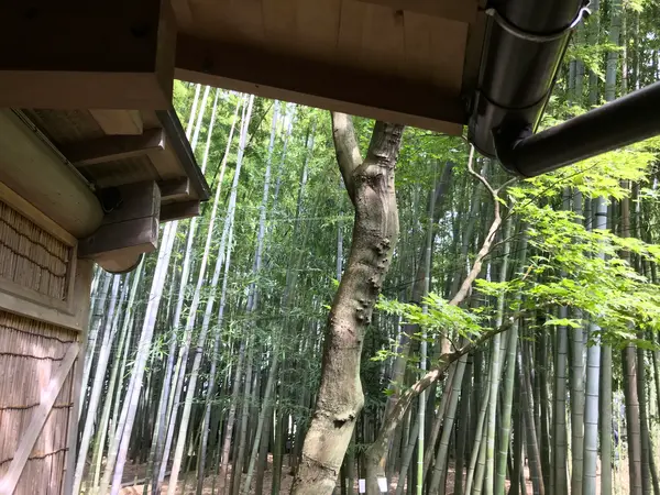 これだけの参拝客ですからね。