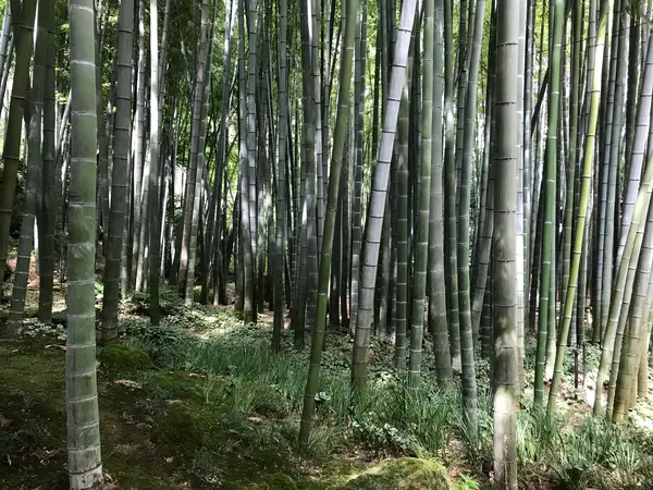 席からの眺め