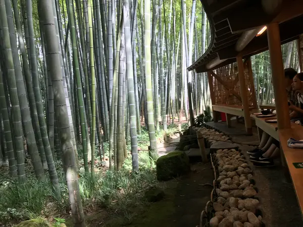 席と竹林の境界