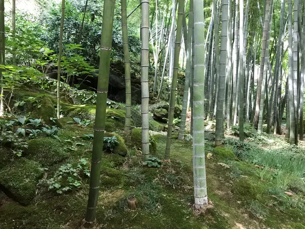 非日常ですね。