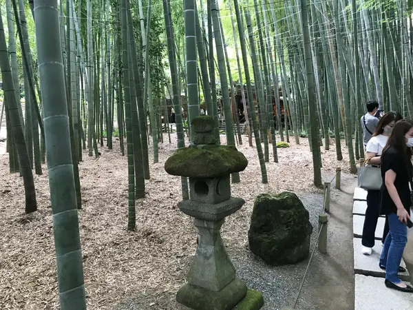 竹も多いが人も多いw