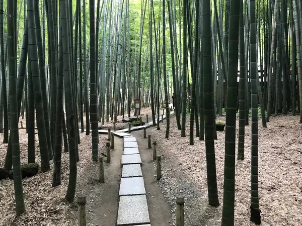 人が途切れたので