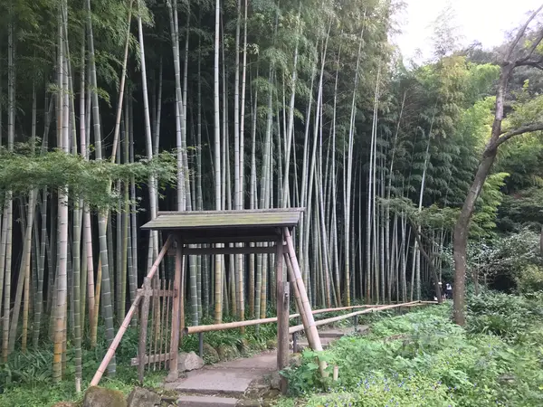 では、竹林へ