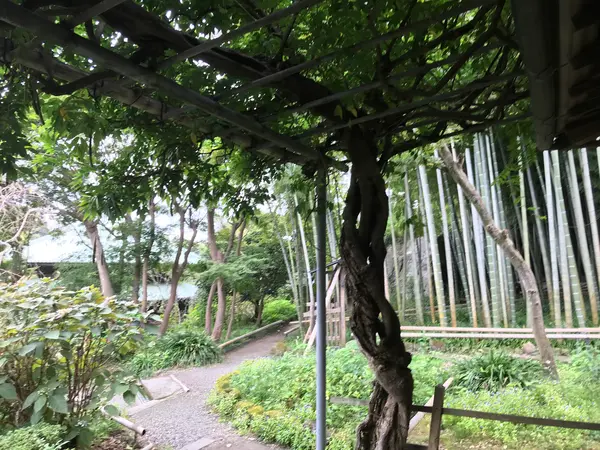 縁側からの眺め