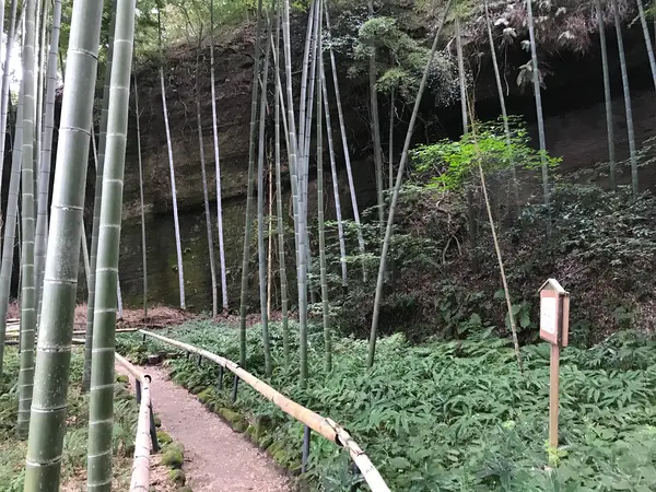 奥まで進むと。