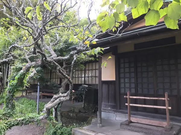 書院のこちら側は