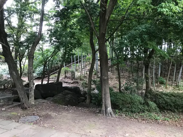 地下鉄 仲町台駅から