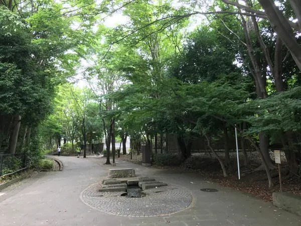 では、せせらぎ公園を後に