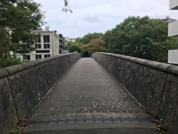 大きな通りは歩道橋でスルー