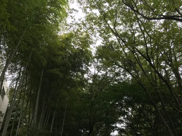 空を見上げれば♪