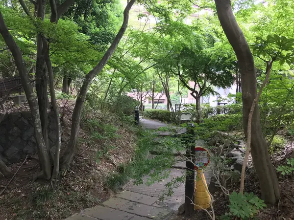 出入り口は潤沢です。
