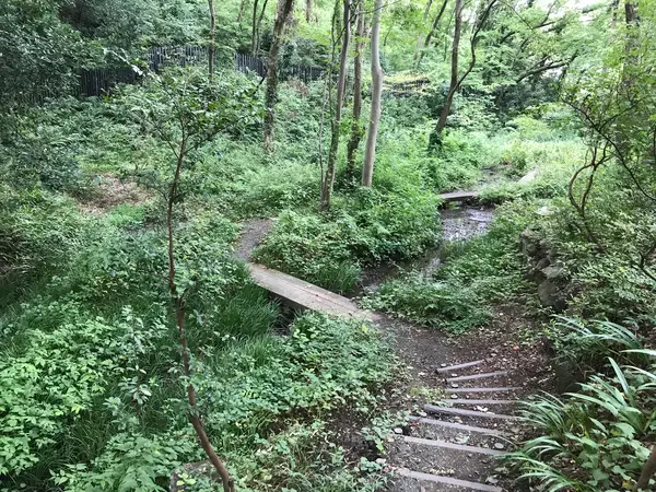 今の時期、絶対に蚊がいそうw