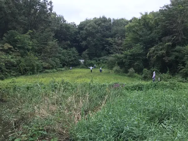 水田です。