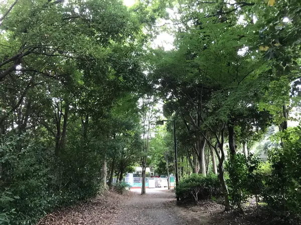 快適な道を通り
