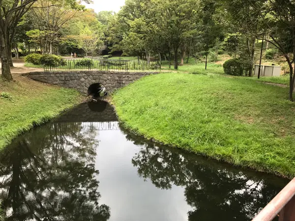 視界が開けました。