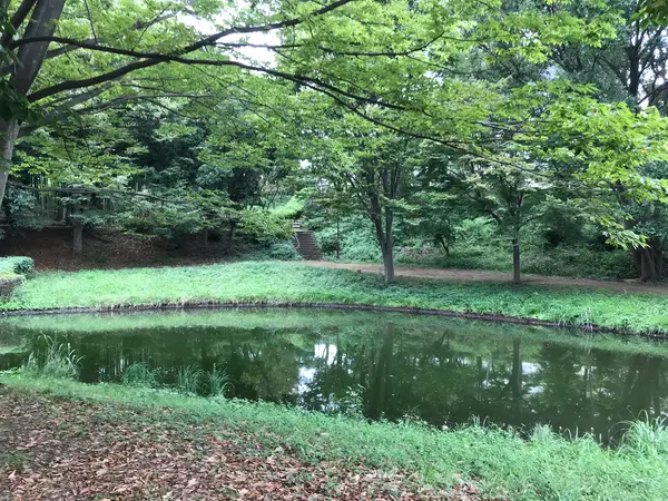 山の中から都市公園に