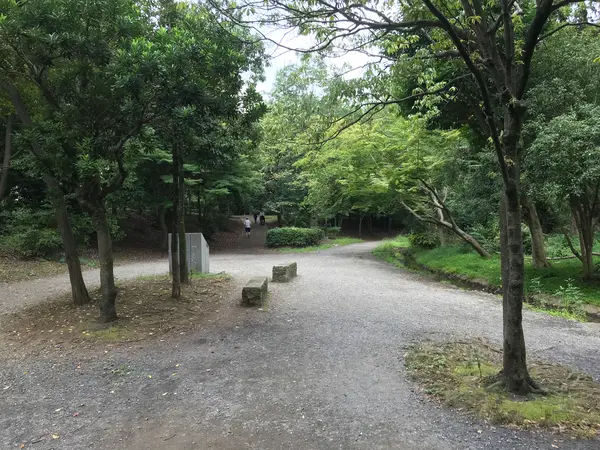 大原みねみち公園続き