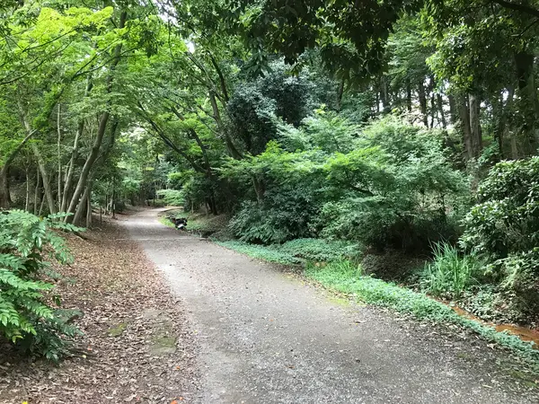 ご機嫌な遊歩道♪
