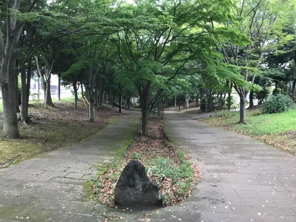 と、お馬鹿な事を言っている間に