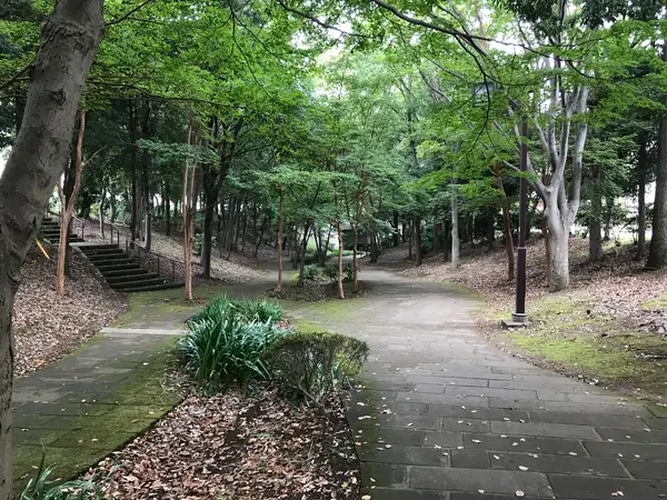 ってか、緑も飽きて来たw