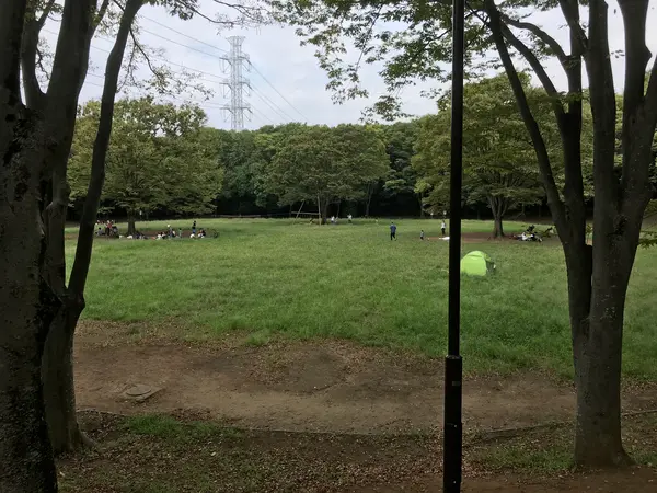 鴨池公園です。