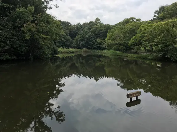 池です。もう飽きたけどw