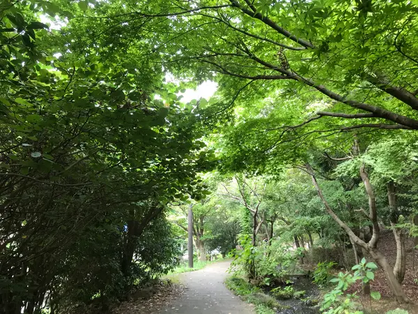 この緑道が本日ラスト