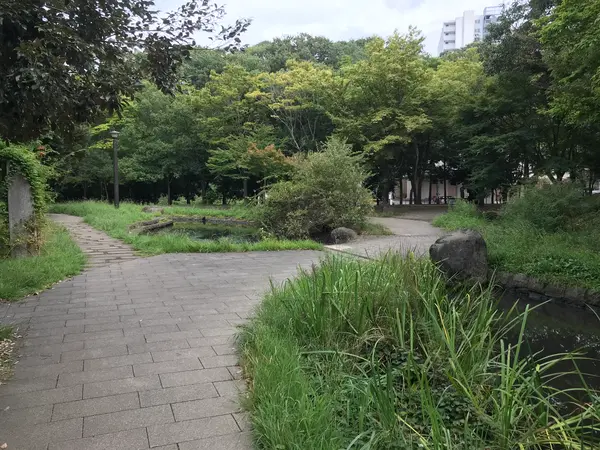 いよいよです。