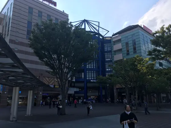 寄ってみたw