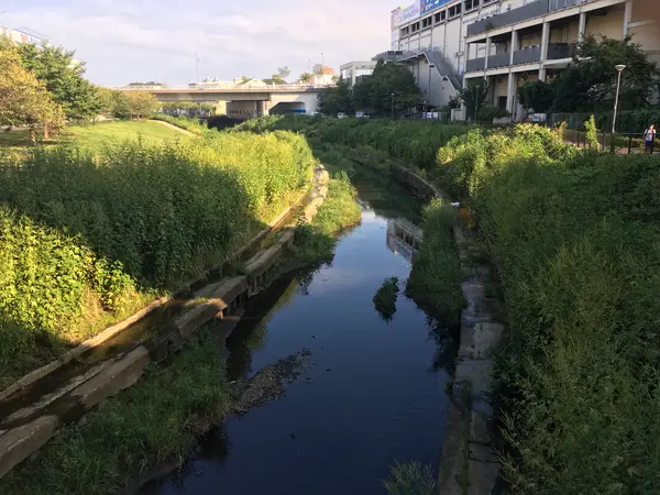 早渕川