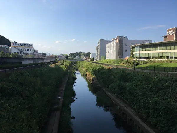 時には草ボーボーw