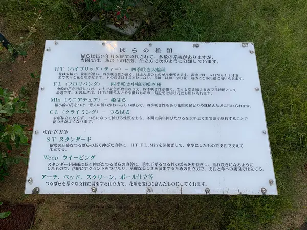 スポット内のおすすめ