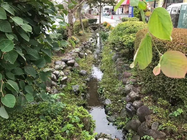 公園までは、川沿い