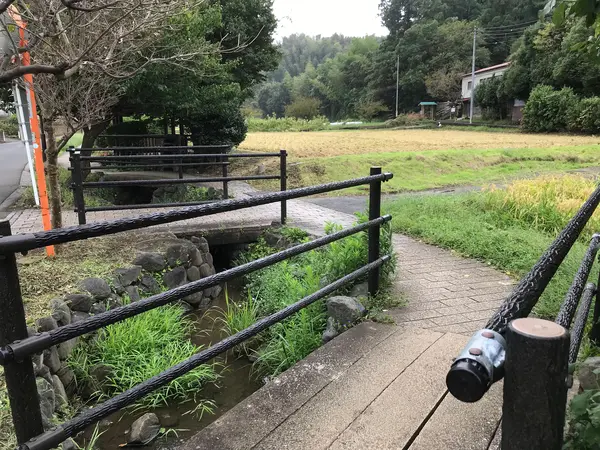 何か、複雑な橋です。