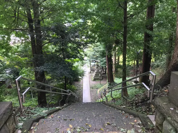 階段から見下ろす。