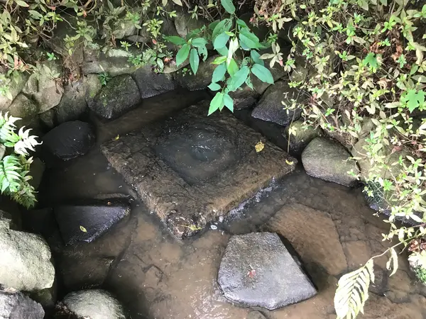 小川の源流域近く