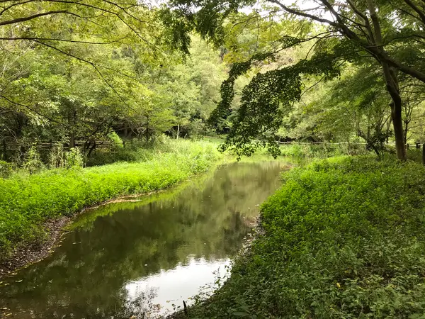 結構、良い景色です。
