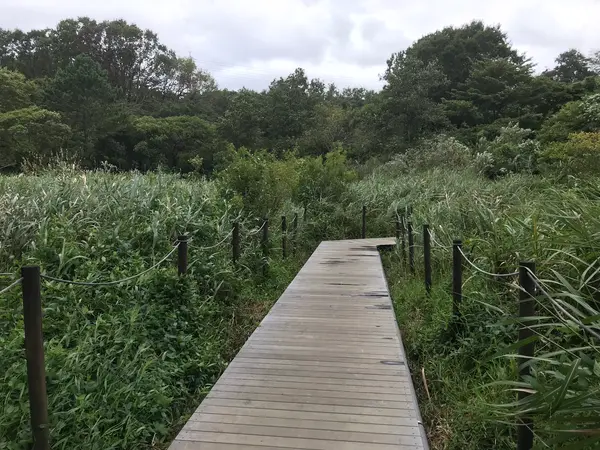 木道も有ります。