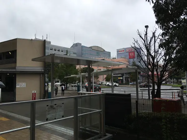 モレラのペデデッキから