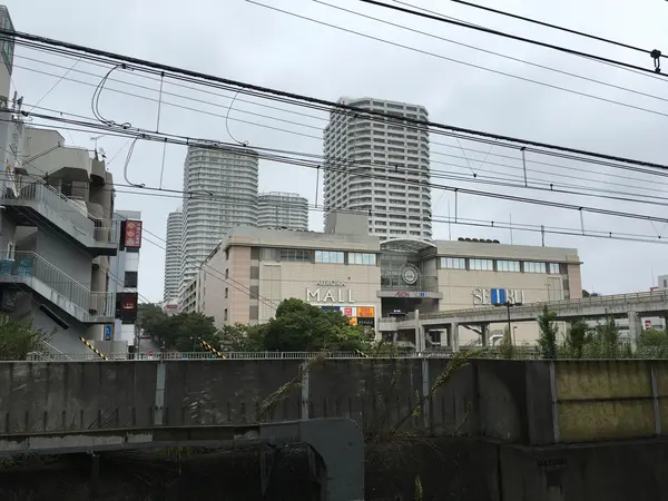 と言う事で