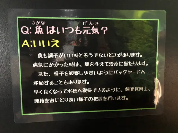 スポット内のおすすめ