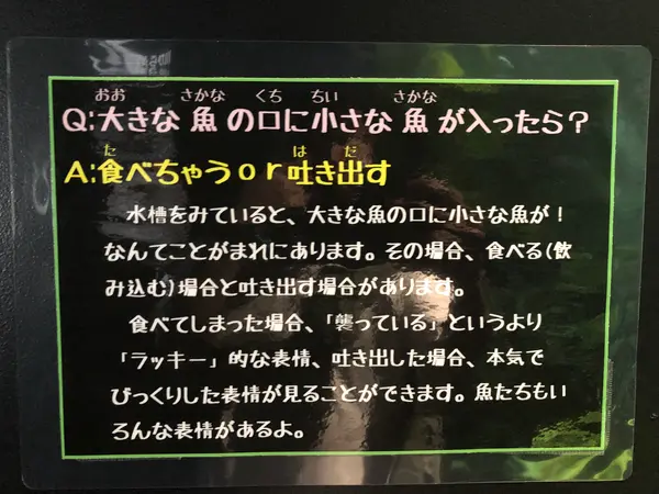 スポット内のおすすめ