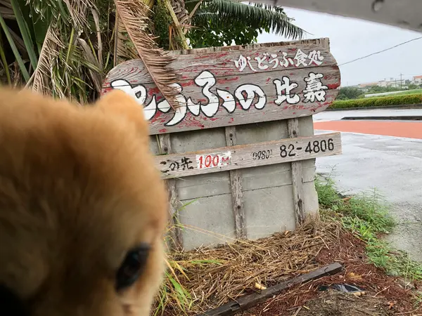 道に沿った看板
